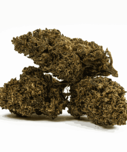 Jean Guy is a sativa-dominant (90% Sativa / 10% Indica) phenotype of the Canadian White Widow strain. Known for its sour citrus aroma and lemon-pine flavor, it offers uplifting, energetic effects ideal for daytime use.