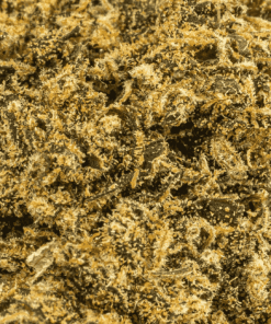 Jean Guy is a sativa-dominant (90% Sativa / 10% Indica) phenotype of the Canadian White Widow strain. Known for its sour citrus aroma and lemon-pine flavor, it offers uplifting, energetic effects ideal for daytime use.