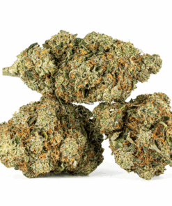 Alternative view of Motor Breath #15 (AAAA)