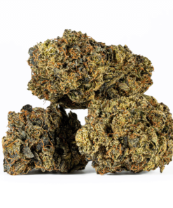 Alternative view of Black Afghani (AAA)