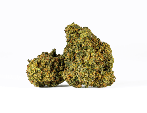 Sour Tangie (AA)