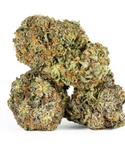 Alternative view of Gucci Pink (AAAA)