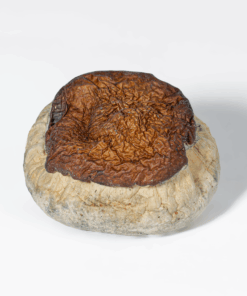 Alternative view of Bluey Vuitton Mushrooms