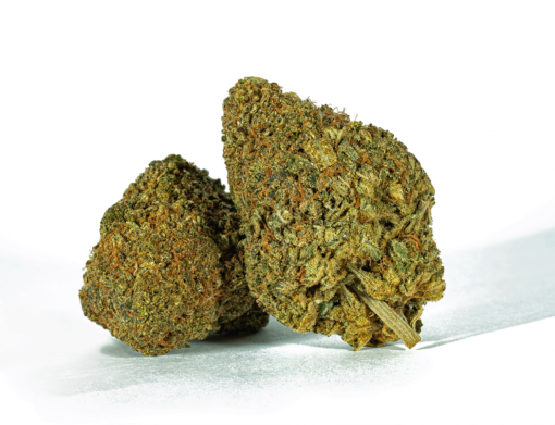 Beaver Tail (AA+)
