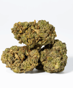 98 Lemon Haze (AA)