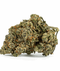 Alternative view of Gastro Pop (AAA)