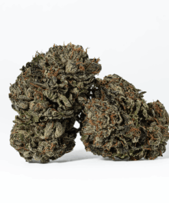 Gas Daddy (AAAA)