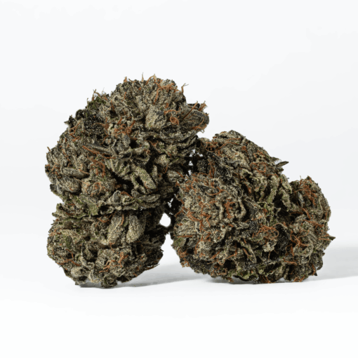 Gas Daddy (AAAA)