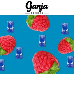 Alternative view of Ganja Bears (150mg THC) - Blue Raspberry