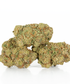 Alternative view of Gelato (AAA+)