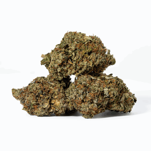 Grease Monkey (AA)