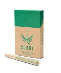 Scout - 5 Pack Pre-Rolls (0.5g) - Hybrid