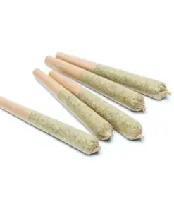 Alternative view of Scout - 5 Pack Pre-Rolls (0.5g) - Hybrid