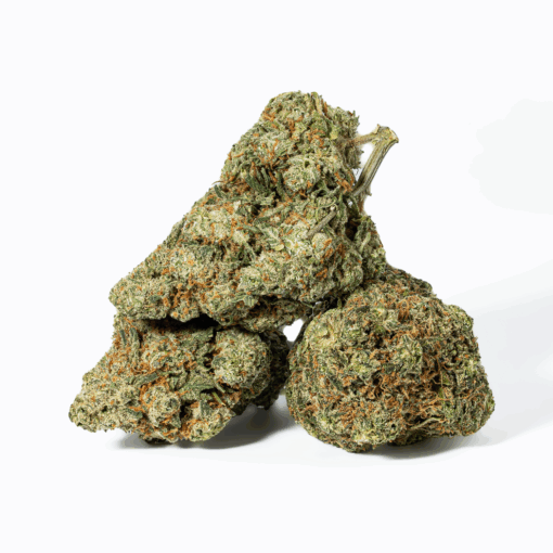 Super Nuken (AAA)