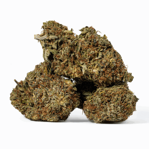 Island Sweet Skunk (AA)