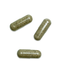 Alternative view of Shroomies Capsules - Thinkcaps (100mg)