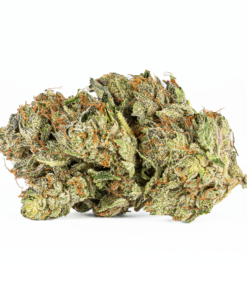 Alternative view of Ghost Ship (AAA+)