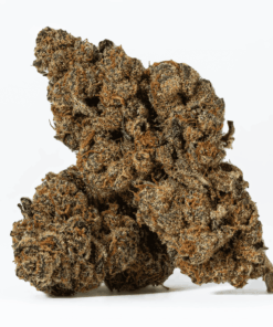 Blue Java is an indica dominant hybrid strain (85% indica/15% sativa) created through crossing the powerful Garlicane X Jelly Breath strains