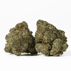 Apple Smacks is a sativa dominant hybrid strain (70% sativa/30% indica) created through an unknown combination of other hybrid strains.