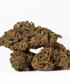 Blue Java is an indica dominant hybrid strain (85% indica/15% sativa) created through crossing the powerful Garlicane X Jelly Breath strains