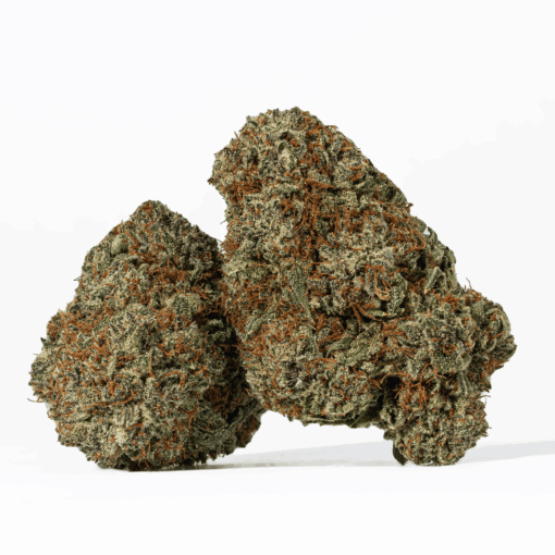 Endless Summer is an evenly balanced hybrid strain (50% indica/50% sativa) created through crossing the delicious London Lemons X Sunset Sherbet strains.