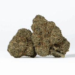 Glazed Donut is an evenly balanced hybrid strain (50% indica/50% sativa) created through crossing the tasty Grape Slushie X Purple Punch strains.
