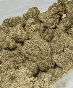 Glazed Donut is an evenly balanced hybrid strain (50% indica/50% sativa) created through crossing the tasty Grape Slushie X Purple Punch strains.