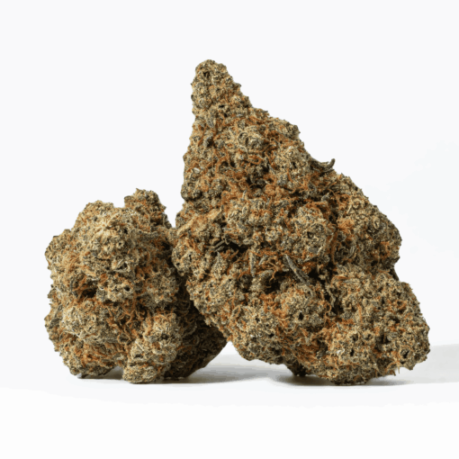Grape God is a cross between God Bud, an indica, and Grapefruit, a sativa. The sativa genes are dominant, though the exact numbers are hard to come by.