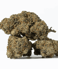 Jigglers is an indica dominant hybrid strain (70% indica/30% sativa) created through crossing the delicious Gelato X Red Pop strains.