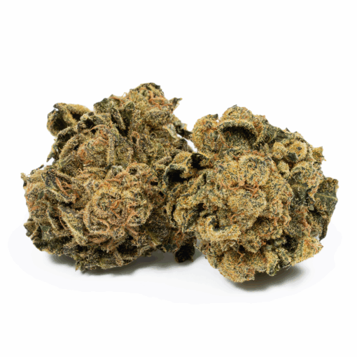 Lemon Skunk, which has a sativa/indica ratio of 60:40, is the award-winning descendant of two distinct Skunk phenotypes that were selected specifically for their tangy lemon traits.