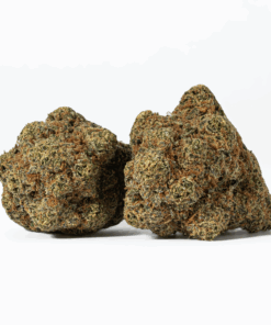 Monster Berry is an evenly balanced hybrid strain (50% indica/50% sativa) created through crossing the classic Grand Daddy Purple X Girl Scout Cookies strains