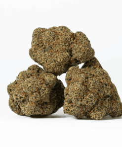 Monster Berry is an evenly balanced hybrid strain (50% indica/50% sativa) created through crossing the classic Grand Daddy Purple X Girl Scout Cookies strains