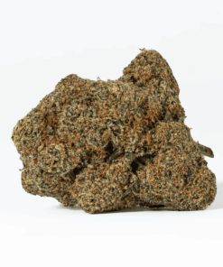 Monster Berry is an evenly balanced hybrid strain (50% indica/50% sativa) created through crossing the classic Grand Daddy Purple X Girl Scout Cookies strains