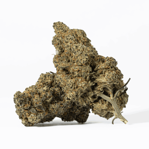 Nuken is an indica dominant hybrid (80% indica/20% sativa) strain created as cross between the cult favorite God Bud X Kish strains.