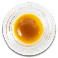 Bring the sunshine to your session with a generous 7g jar of Super Lemon Haze THC sauce. This lively sativa packs a punch of zesty lemon and sweet citrus, offering a flavor that’s as refreshing as its effects.