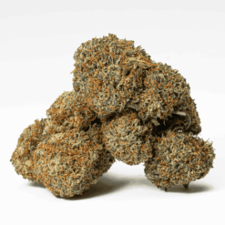 Blackberry Jam, also known as “Black Jam,” is a sativa dominant hybrid strain (70% sativa/30% indica) created through crossing the potent Blackberry Kush X Nepalese Jam strains. If you've been dreaming of a sugary sweet bud with a bright, energized mind to go along with it, look no further than Blackberry Jam.