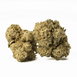 Cat Piss is a 60/40 sativa-dominant strain known for its uplifting, creative, and euphoric high.