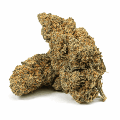 Cherry Pie is a flavorful indica-dominant hybrid (80/20) born from Grand Daddy Purple and Durban Poison, with THC levels reaching up to 21%.