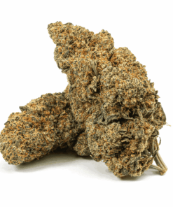 Cherry Pie is a flavorful indica-dominant hybrid (80/20) born from Grand Daddy Purple and Durban Poison, with THC levels reaching up to 21%.