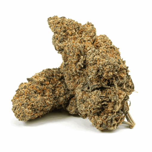 Cherry Pie is a flavorful indica-dominant hybrid (80/20) born from Grand Daddy Purple and Durban Poison, with THC levels reaching up to 21%.