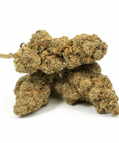 Cherry Pie is a flavorful indica-dominant hybrid (80/20) born from Grand Daddy Purple and Durban Poison, with THC levels reaching up to 21%.