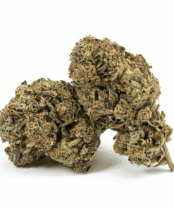 Dank Schrader is a potent indica-dominant hybrid (80/20) bred from Rockstar Kush and Bubba Kush, known for its powerful THC levels (23–26%) and long-lasting effects.