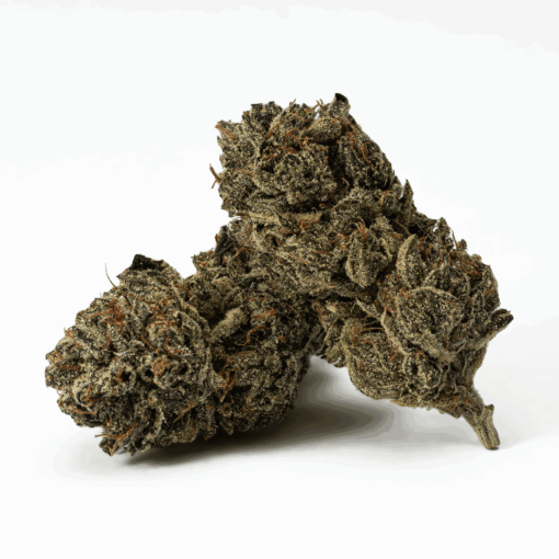 El Chivo is an indica dominant hybrid strain (70% indica/30% sativa) created through crossing the delicious OG Kush Breath Headband X Grape Gas strains.