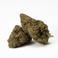 Flintstones is a rare heavily indica dominant hybrid strain (90% indica/10% sativa) created through crossing the popular Fruity Pebbles X Sour Bubble strains.