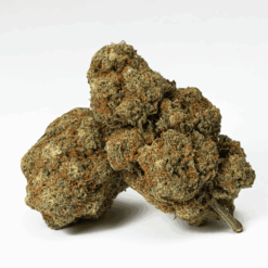 Girl Scout Cookies is an indica-dominant hybrid with a strong sativa component (40:60 sativa/indica ratio). This strain can reach THC levels of up to 21%, and provides the best aspects of both sativa and indica, and the high is powerful, happy, and euphoric, but with couch-lock body effects and feelings of lethargy.