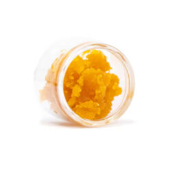 Gorilla Glue is an indica-dominant hybrid celebrated for its deeply relaxing effects. Known for its powerful THC levels, it delivers heavy euphoria followed by a strong body melt, making it a top choice for evening use. Medical and recreational users alike turn to Gorilla Glue for relief from chronic pain, stress, insomnia, and muscle tension. Its bold aroma blends earthy notes with hints of pine, diesel, and subtle chocolate undertones.