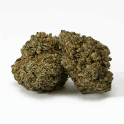 Ice Cream is a 60/40 indica-dominant strain known for its smooth, creamy smoke and sweet vanilla flavor.