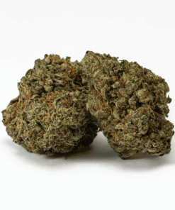 Ice Cream is a 60/40 indica-dominant strain known for its smooth, creamy smoke and sweet vanilla flavor.