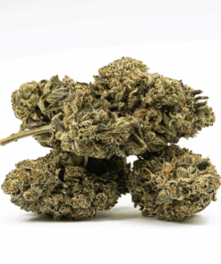 Island Pink Kush is a potent indica-dominant hybrid (80/20) known for its stunning neon green and pink-hued buds, sweet vanilla candy flavor, and deeply relaxing effects.
