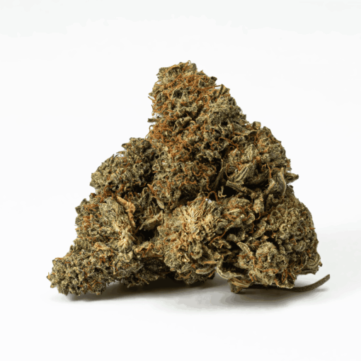 Jack Herer, also known as “The Jack,” “JH,” “Premium Jack” or “Platinum Jack” is a sativa dominant hybrid strain (80% sativa/20% indica) created through crossing the classic Haze X (Northern Lights #5 X Shiva Skunk) strains.